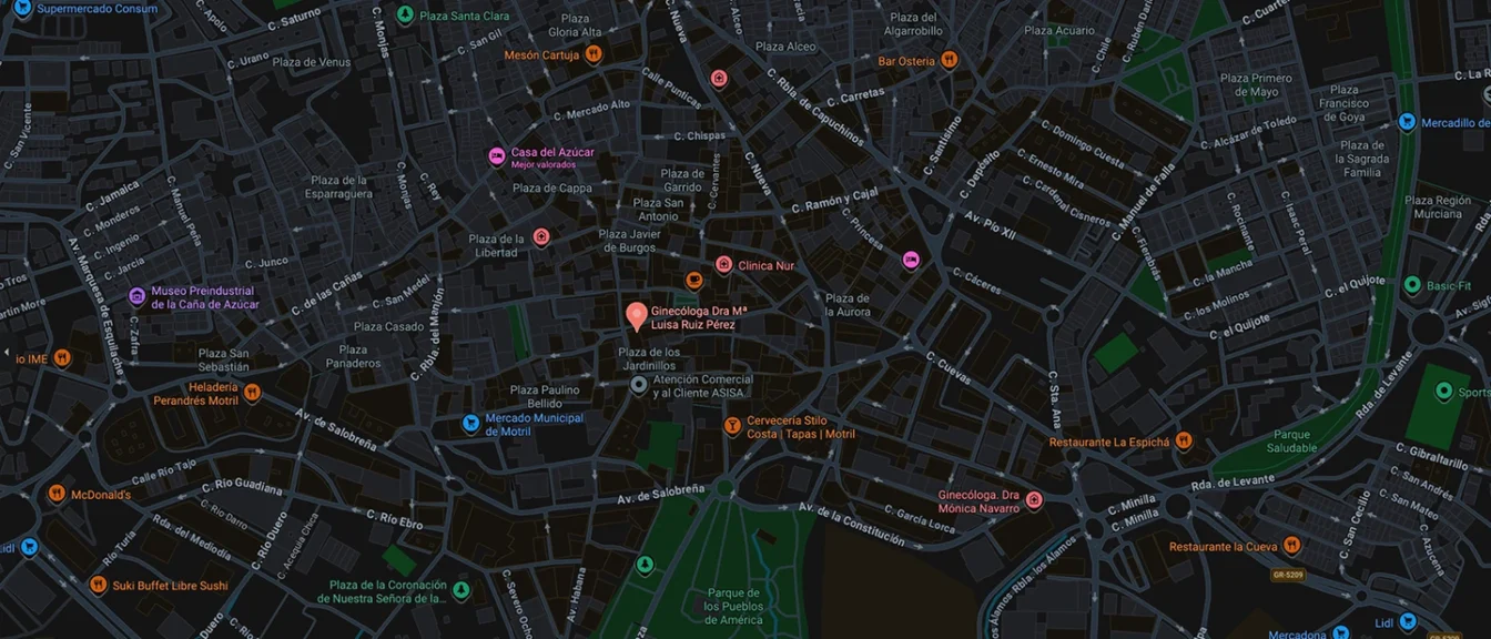 Localización de Dra. María Luisa Ruiz en Google Maps